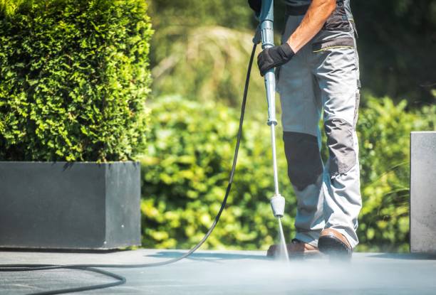 Best Paint Preparation  in Zephyrhills, FL